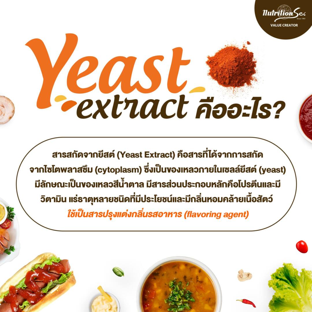 Yeast extract - Nutrition SC Public Company Limited