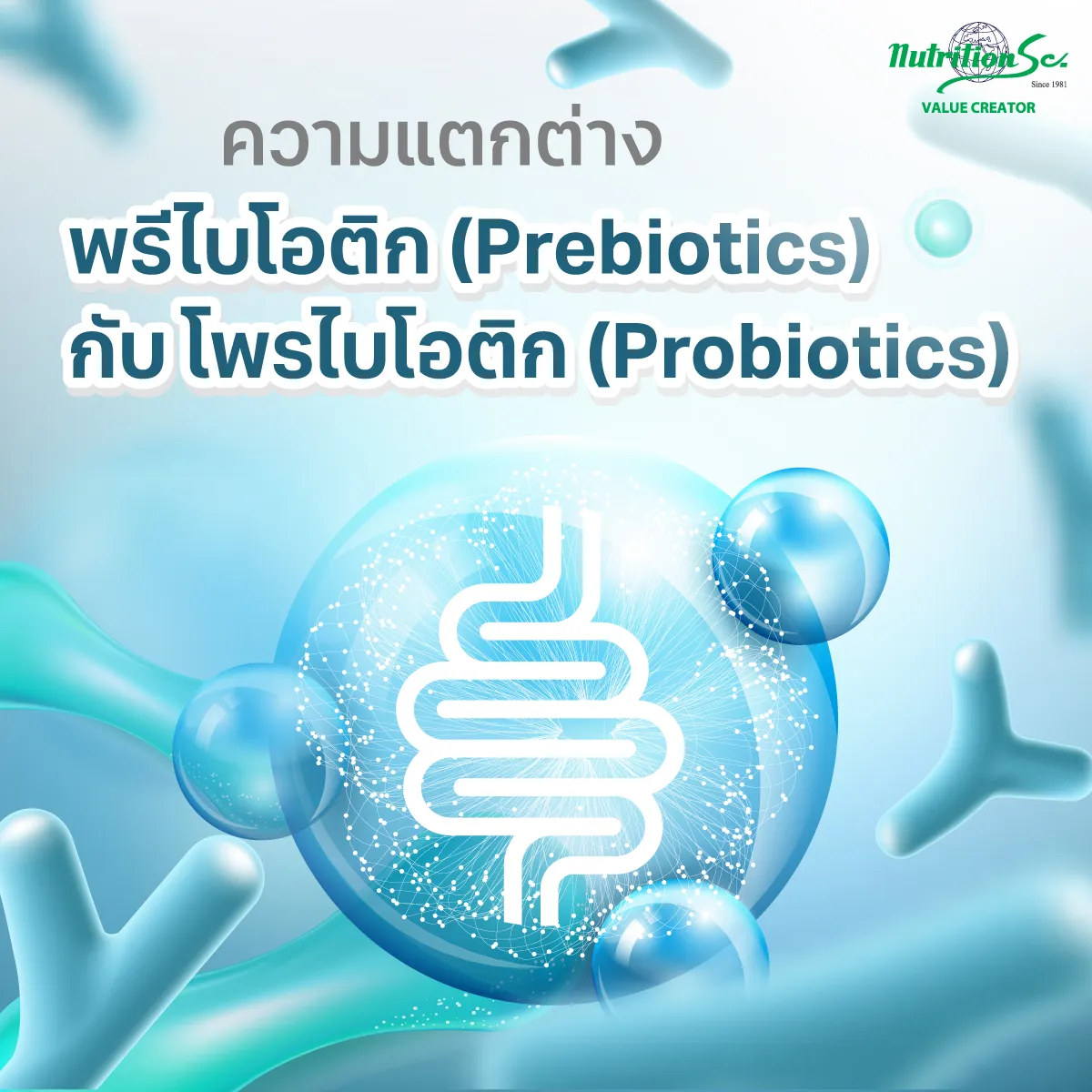 ความแตกต่าง prebiotics & probiotics