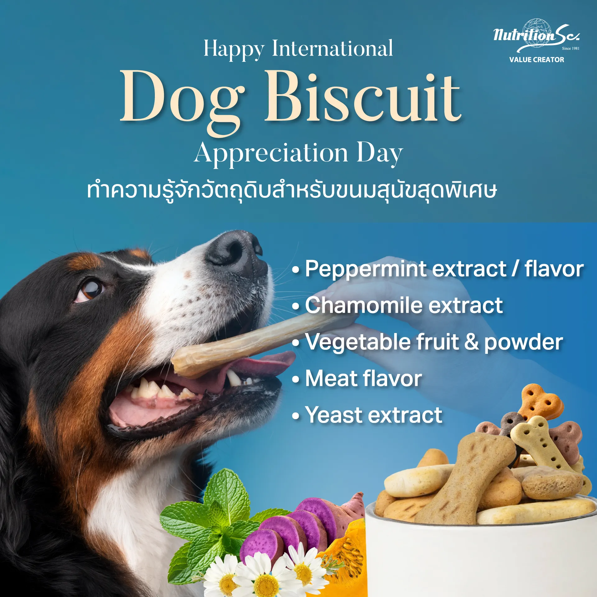 Happy International Dog Biscuit Appreciation Day