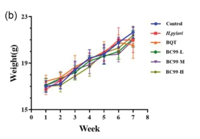 BC99 สามารถช่วยให้น้ำหนักมีแนวโน้มที่จะลดลงเมื่อมีการทดสอบเป็นเวลา 8 สัปดาห์ 