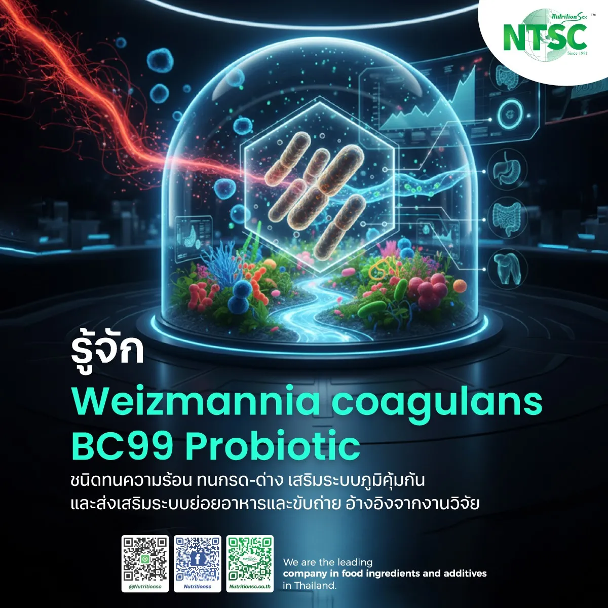 รู้จัก Weizmannia coagulans BC99 Probiotic