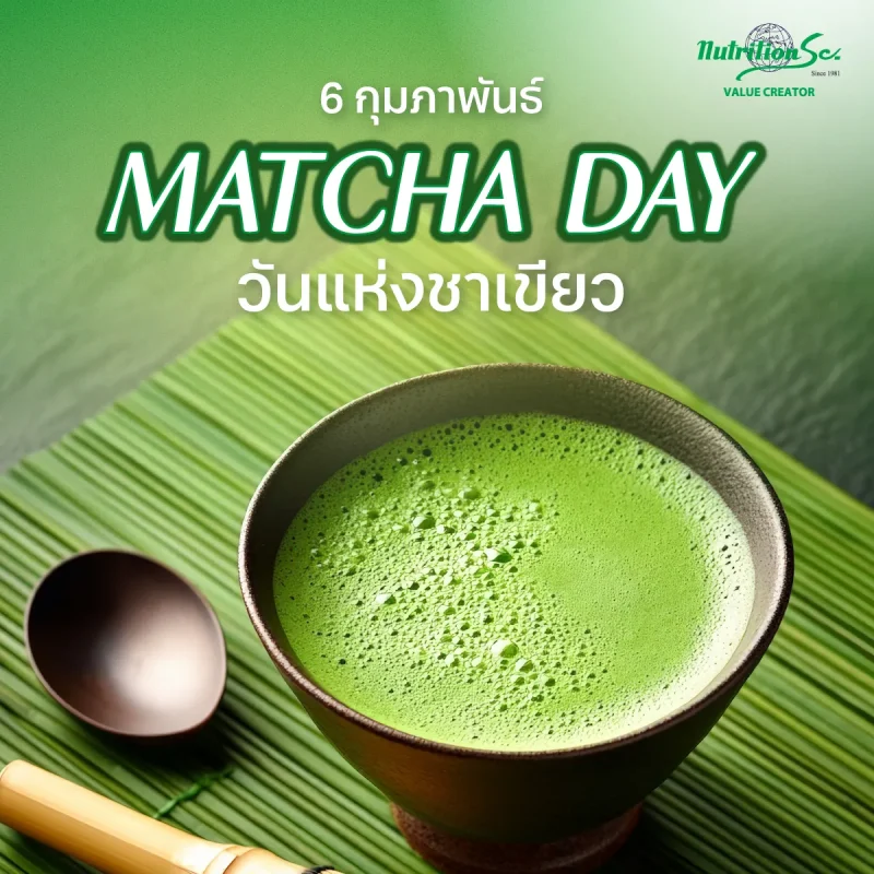 Matcha Day วันแห่งชาเขียว