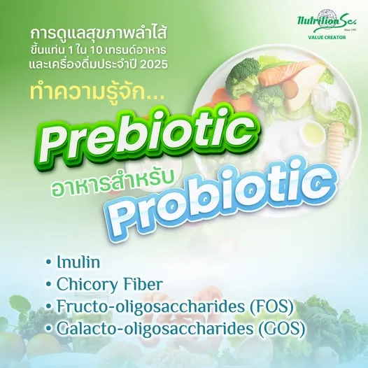 ทำความรู้จัก Prebiotic อาหารสำหรับ Probiotic