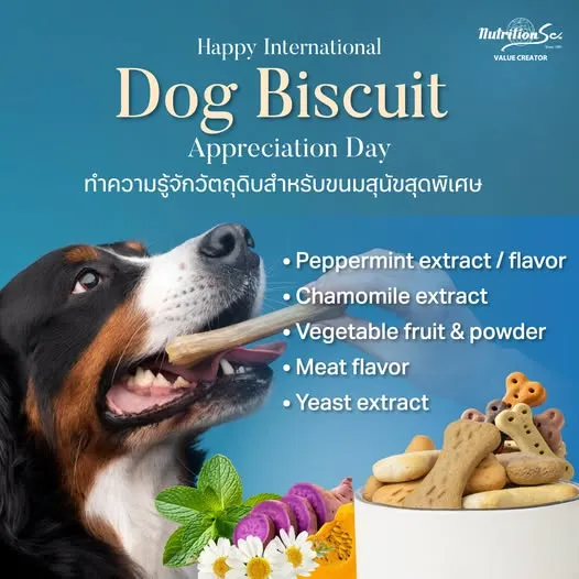 Happy International Dog Biscuit Appreciation Day
